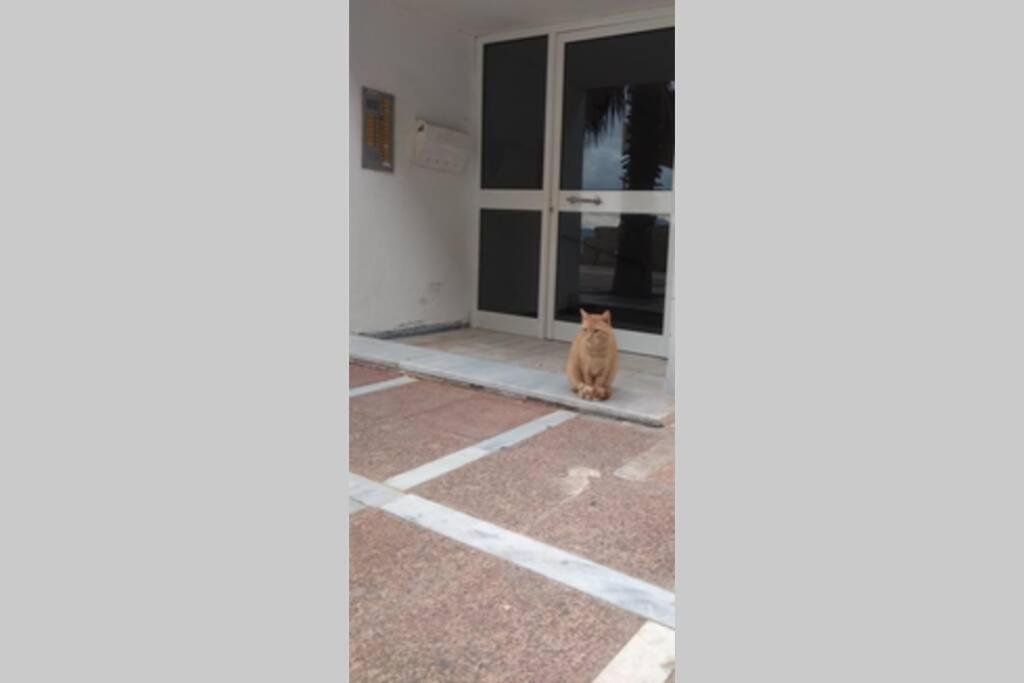 Captain'S Home Loutraki المظهر الخارجي الصورة